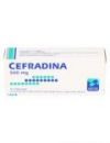 CEFRADINA 500 MG 8 CAPSULAS LAB. MINTLAB