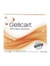 GELICART COLAGENO HIDROLIZADO POLVO  30 SOBRES X  10G LAB. SANOFIGELICART COLAGENO HIDROLIZADO POLVO SOBRES 10MG 10G x 30 SANOFI